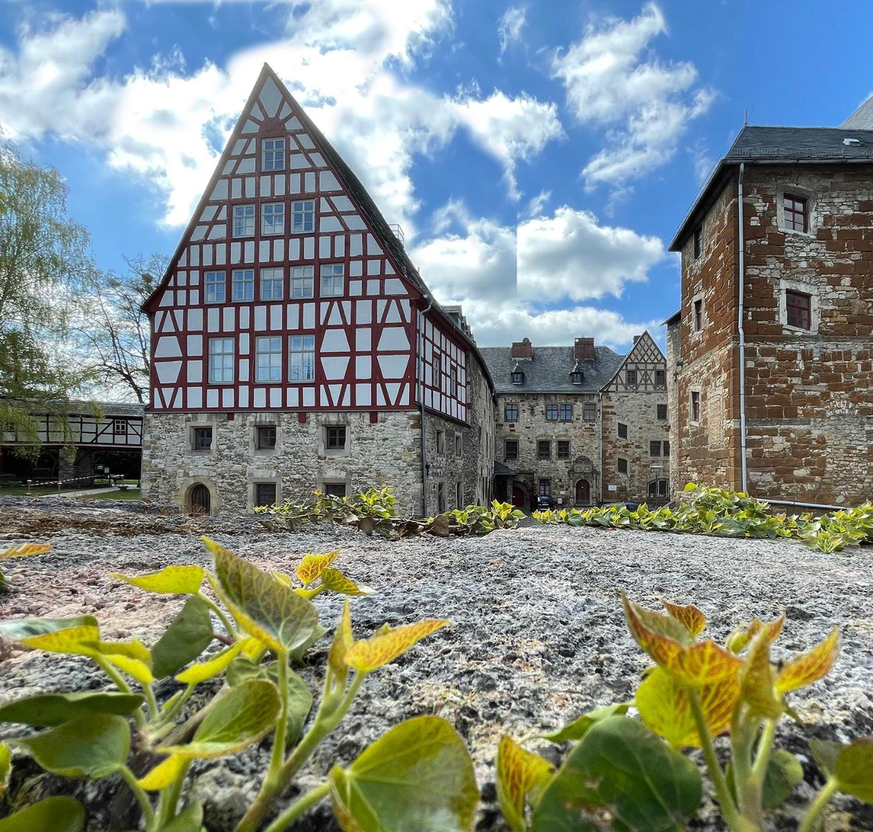 Schloss Beichlingen Esterno foto