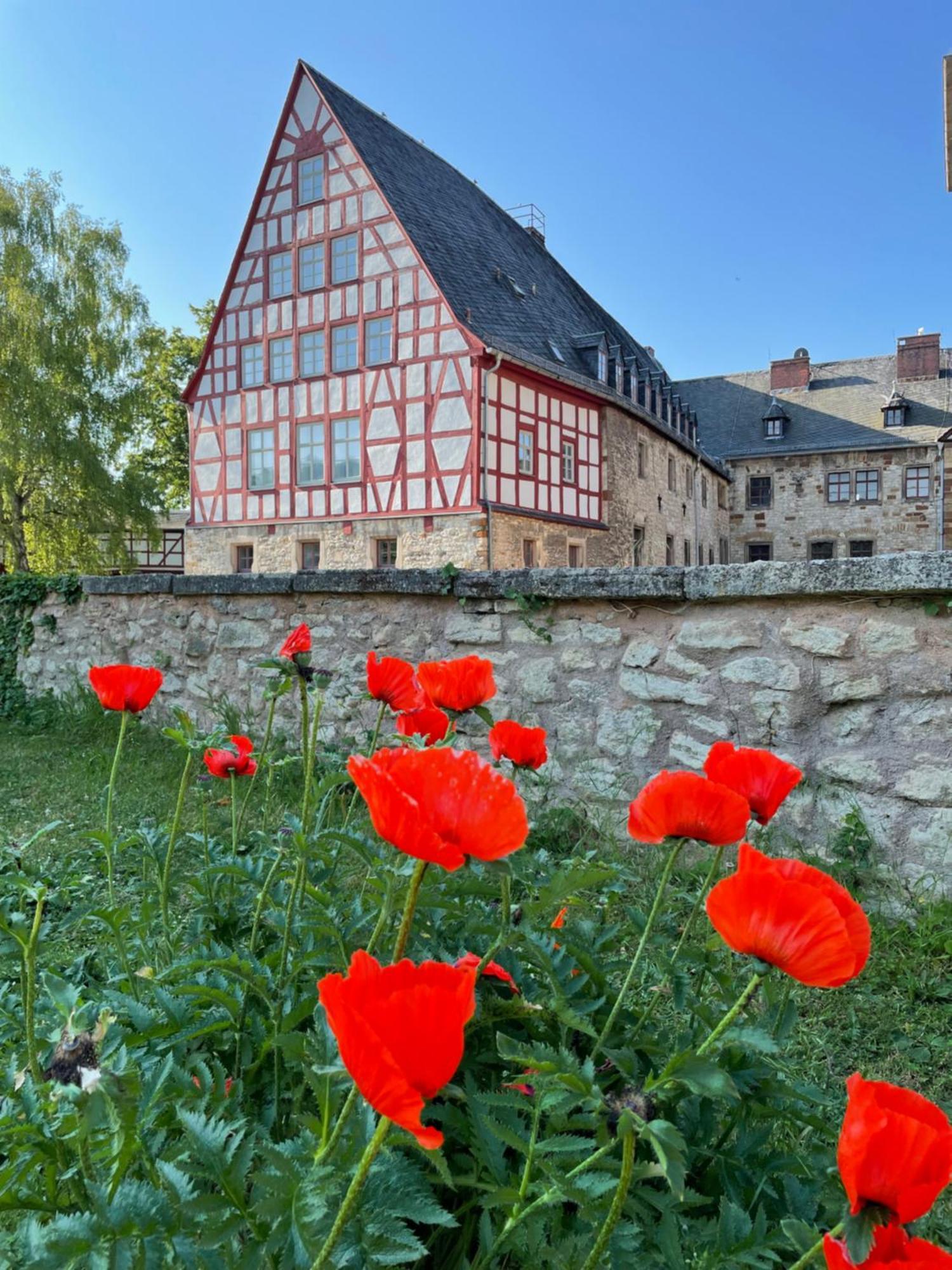 Schloss Beichlingen Esterno foto