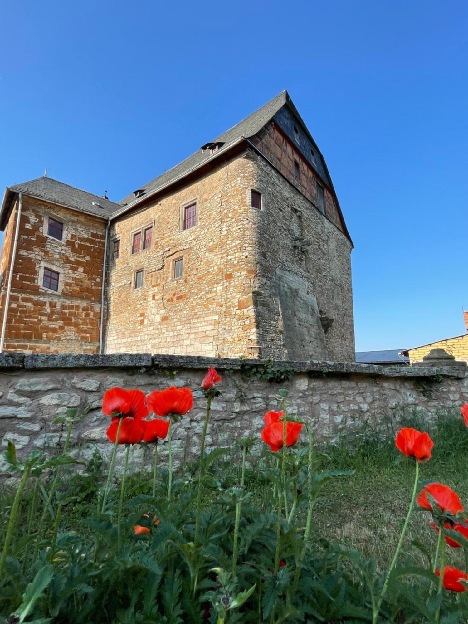 Schloss Beichlingen Esterno foto