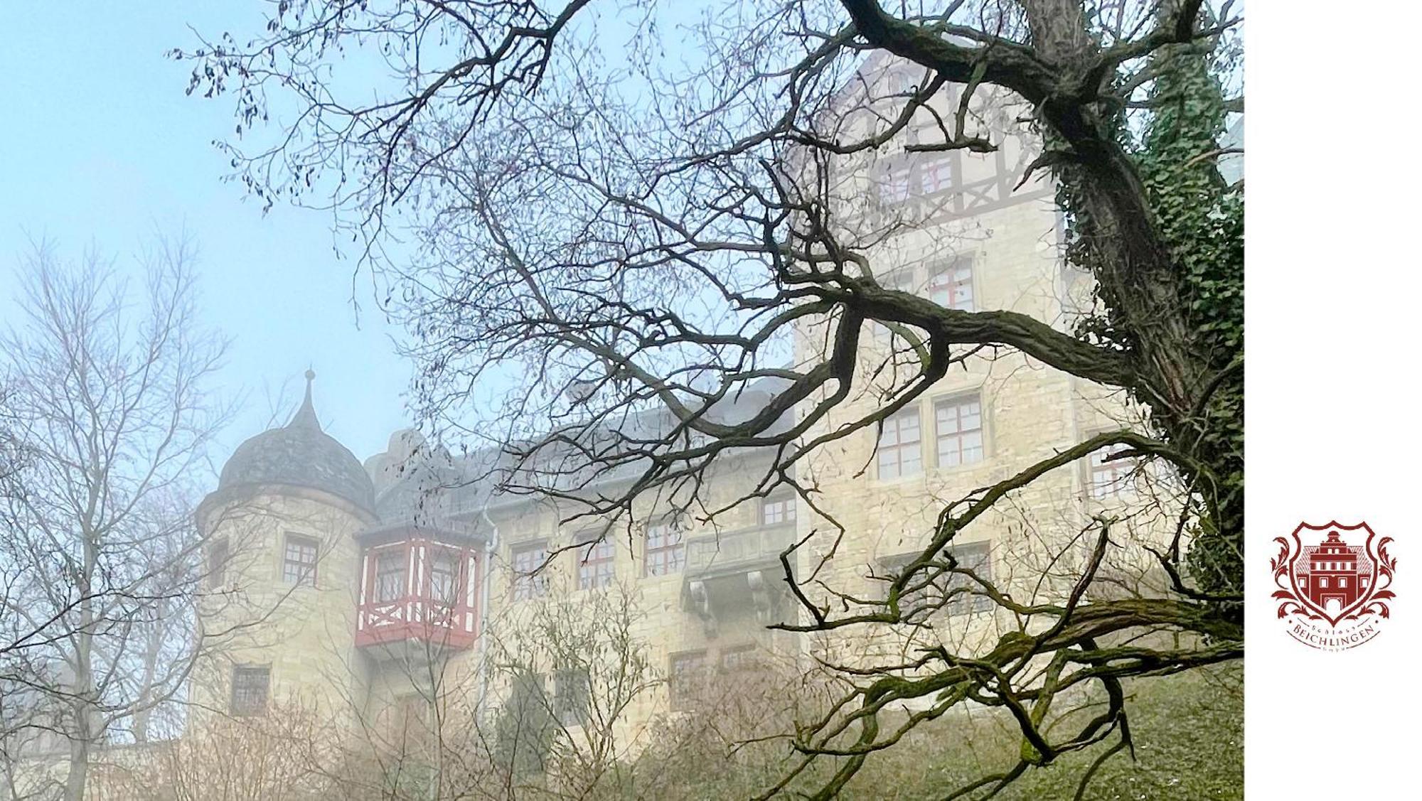 Schloss Beichlingen Esterno foto