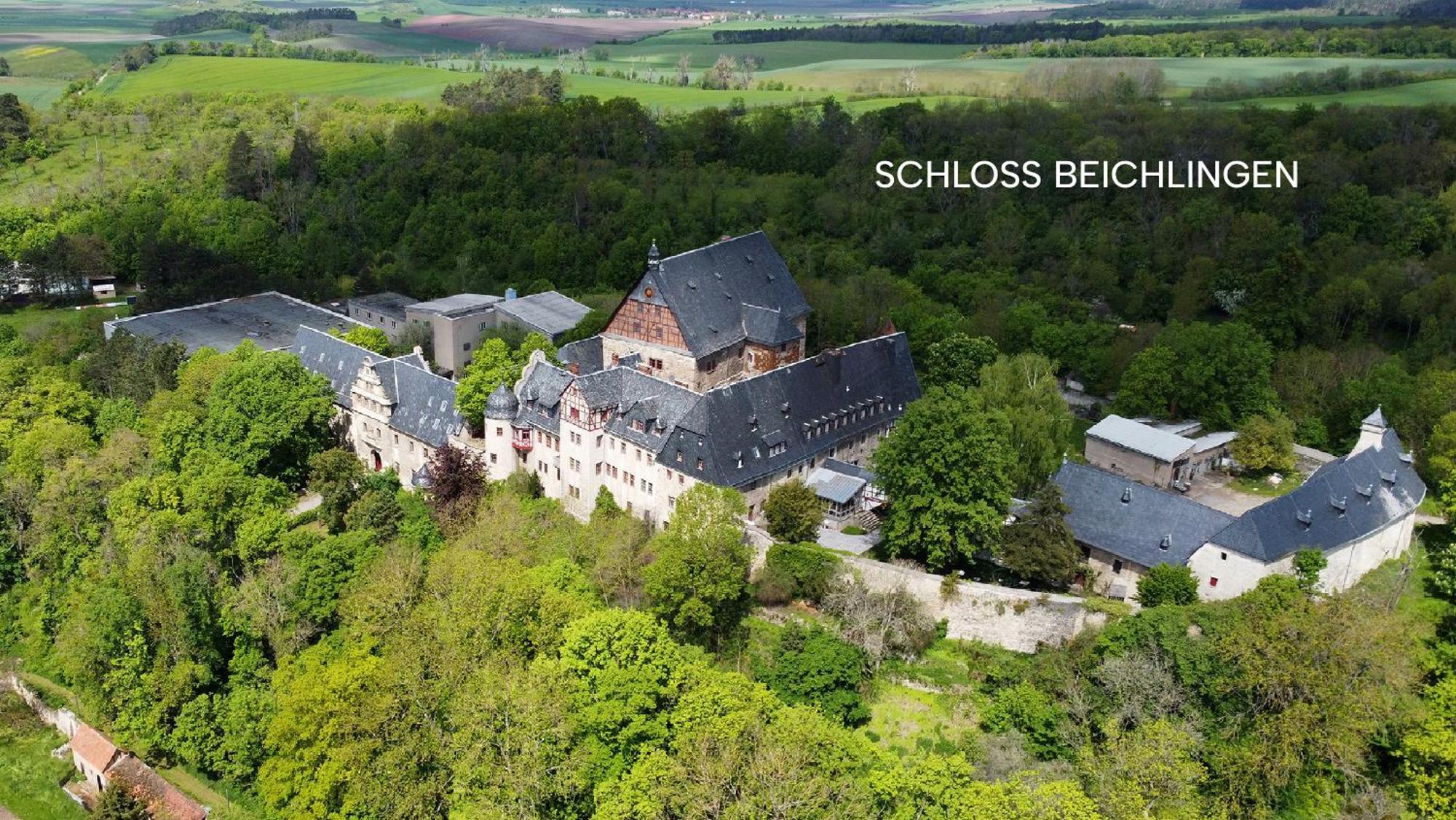 Schloss Beichlingen Esterno foto